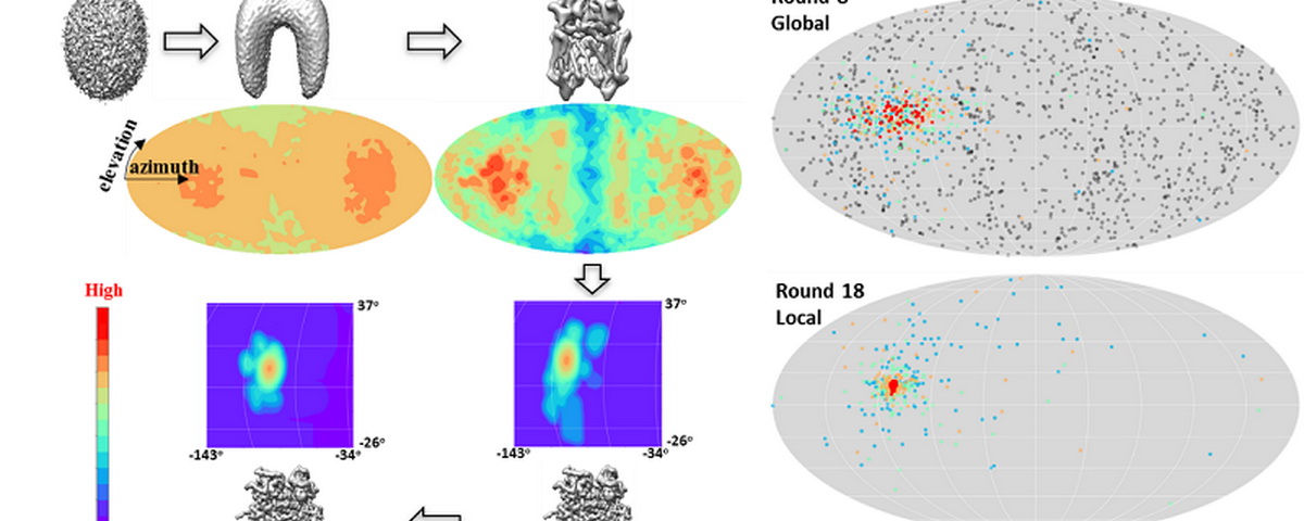 生命学院李雪明，电子系沈渊和计算机系杨广文三个研究组合作在《Nature●Methods》杂志发表论文提出一种新型的冷冻电镜三维重构算法